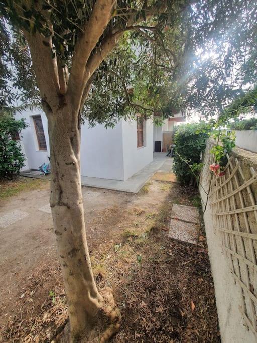 Ccc Holiday Properties Le Vele Ccc Montalto di Castro Exterior photo