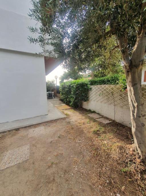 Ccc Holiday Properties Le Vele Ccc Montalto di Castro Exterior photo
