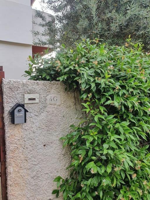 Ccc Holiday Properties Le Vele Ccc Montalto di Castro Exterior photo